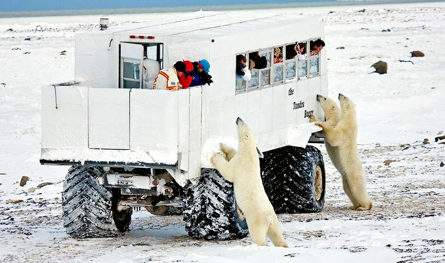 Mit dem Buggy durch die Tundra